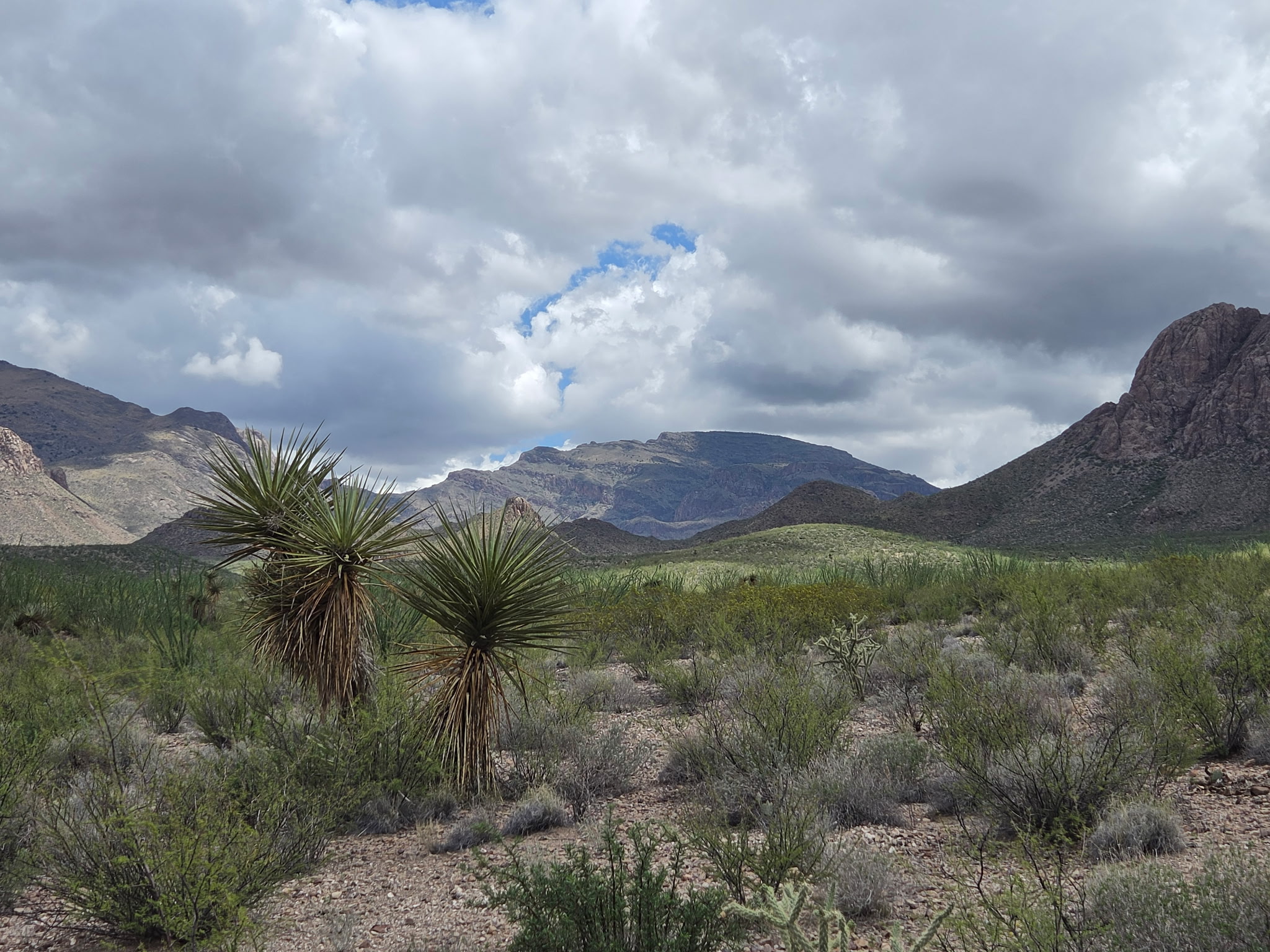 Chinati Peak from Distance