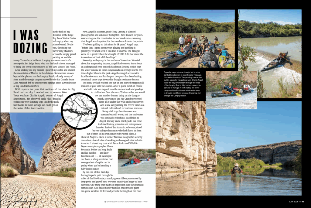 article pg 35
