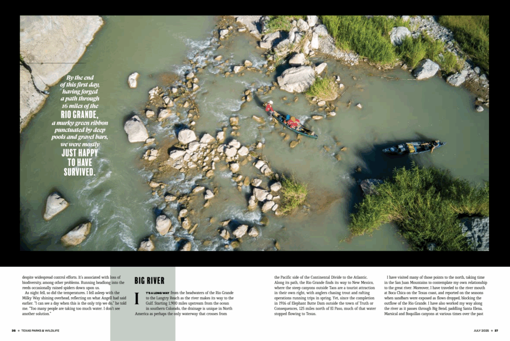 article pg 37
